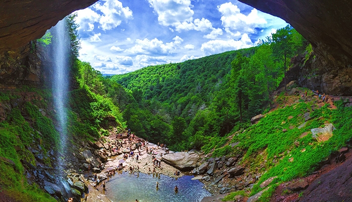 5 raisons de restaurer la nature en Europe 