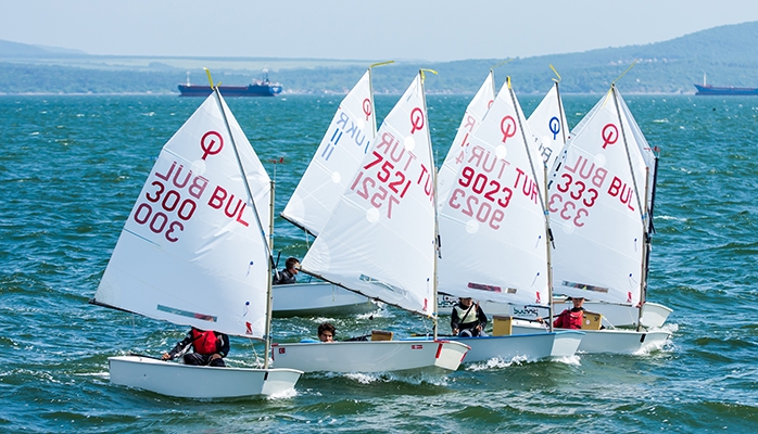 Un nouveau traité protège la biodiversité en haute mer