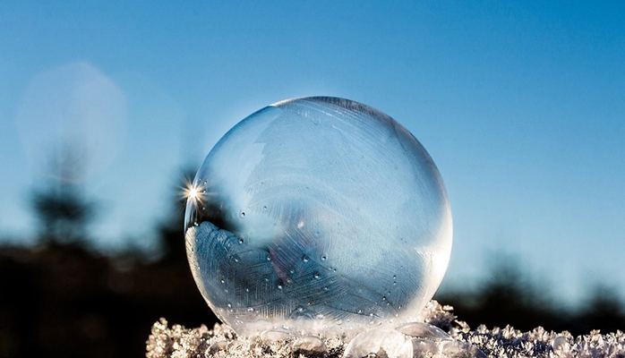 Une plateforme nationale pour s’engager en faveur de la biodiversité