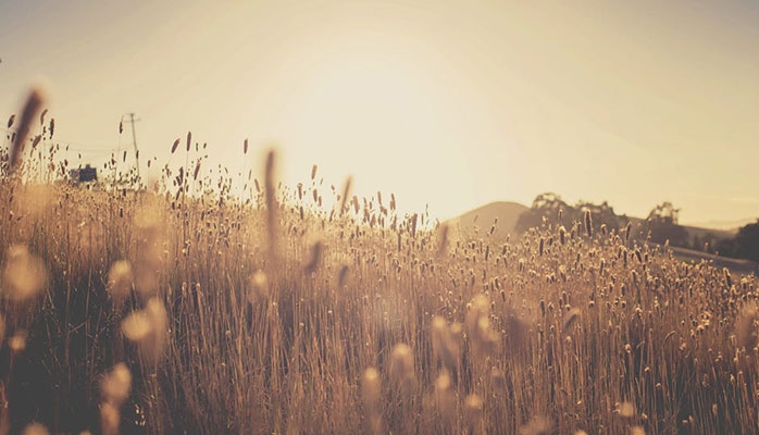 Le Limbourg demande que sa zone d’étangs soit reconnue comme réserve de biosphère de l’Unesco